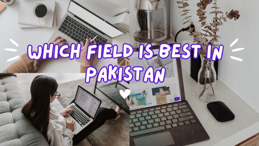 Which Field Is Best in Pakistan?